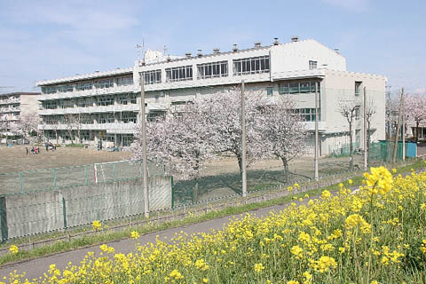 春の古谷東小学校　桜と菜の花