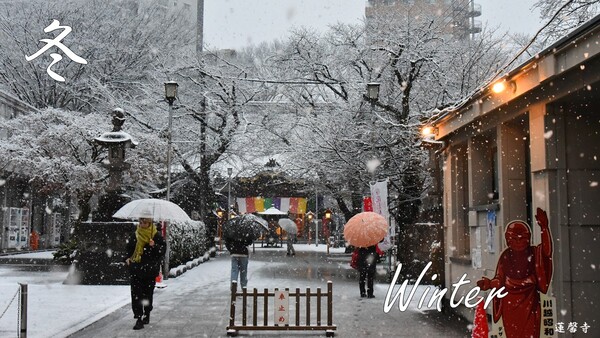 冬のイメージ写真（雪がしんしんと降る寺社の様子）