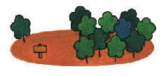 イラスト：林