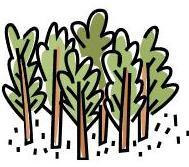 イラスト：樹林