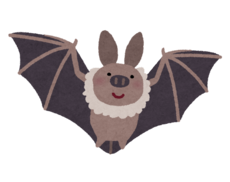 イラスト：コウモリ