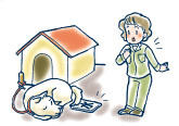 イラスト：犬について