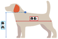イラスト:犬の体長・体高