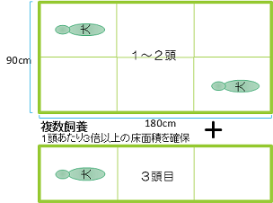 イラスト:複数飼養 1頭あたり3倍以上の床面積を確保