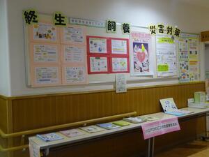 動物愛護週間の展示の様子