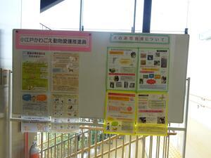 保護犬保護猫の譲渡会の展示の様子