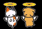 イラスト：天に召される犬猫