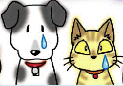 イラスト：泣いている犬猫