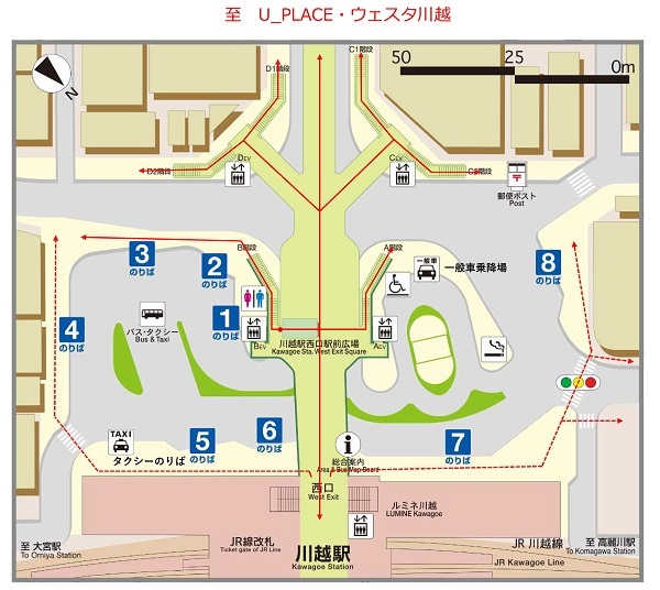 地図：路線バス・タクシーのりば・歩行者動線図
