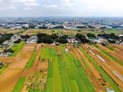 写真：空からの三富