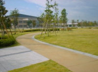 写真：園内風景（自由広場）