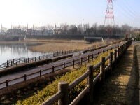 写真：園内風景（園路）2