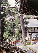写真：山本不動尊