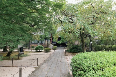 写真：中院