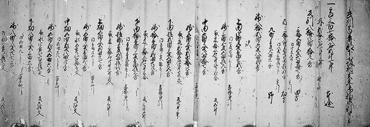 写真：下小坂平野家文書