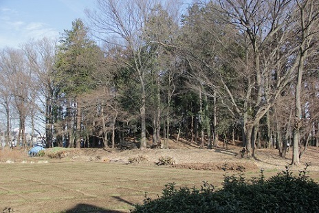 写真：山王塚古墳　調査風景2