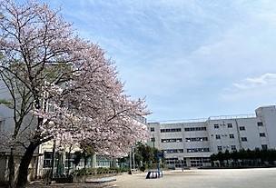写真：校舎