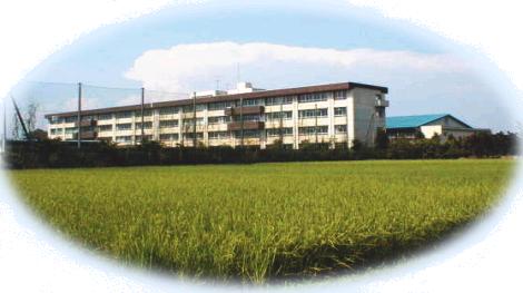 写真：南古谷中学校　外観