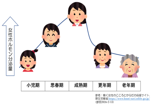 女性のライフステージ毎のホルモンの分泌量を示すイメージイラスト