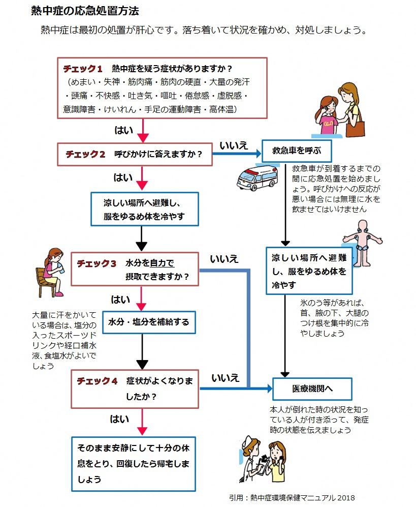 イラスト：応急処置方法フローチャート