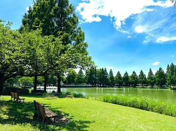 写真：湖畔に木々とベンチがある風景