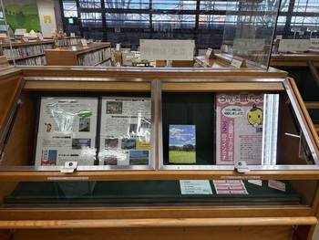 写真：展示の様子