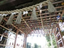 写真：氷川神社の夏の風景