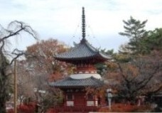 写真：喜多院　秋の風景
