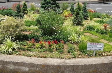 市道8256号線バスロータリー花壇の写真