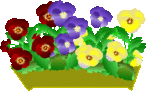 パンジープランターのイラスト