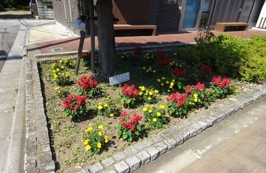 市道0001号線花壇の写真