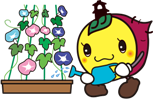 イラスト：朝顔に水をやるときも