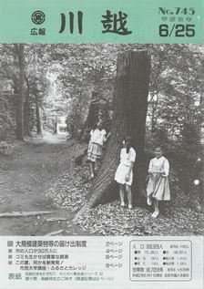 写真：広報川越745号の表紙