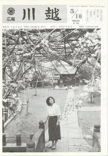 写真：広報川越502号の表紙
