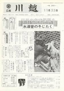 写真：広報川越395号の表紙