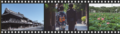 写真：動画イメージ1