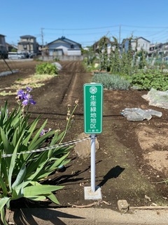 写真：生産緑地