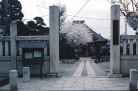 写真：行伝寺