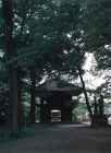 写真：蓮光寺
