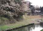 写真：赤間川公園