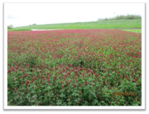 山田地域会議写真