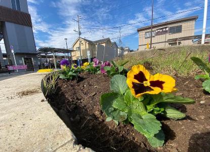 写真：花壇3