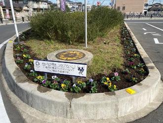 写真：花壇1