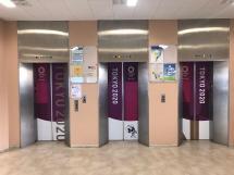 写真：本庁舎エレベーターホール（1階：藤）1