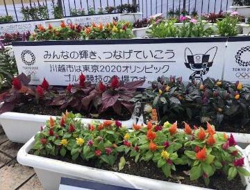 写真：色とりどりの花々