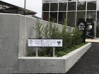 霞ケ関西公民館前の花壇の写真