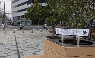 ウェスタ川越の写真