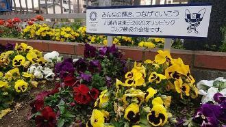 クレアパークの花壇の写真