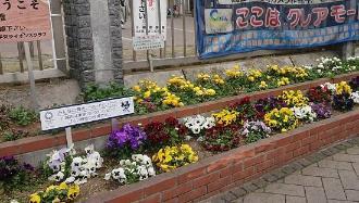 クレアパークの花壇の写真