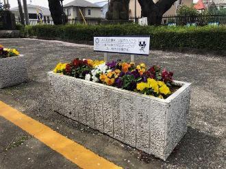 川越市やまぶき会館の花壇の写真